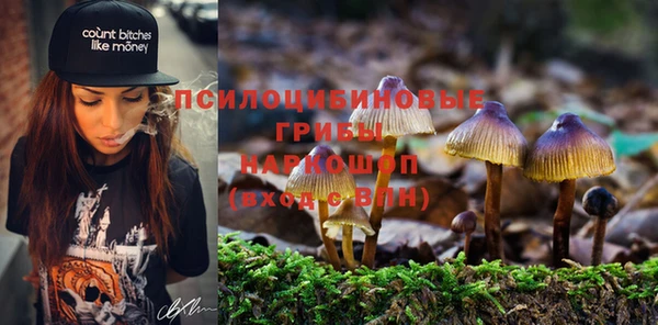 спайс Абинск